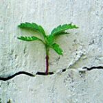 Profile picture of ΗΡΩ ΒΕΝΕΡΗ